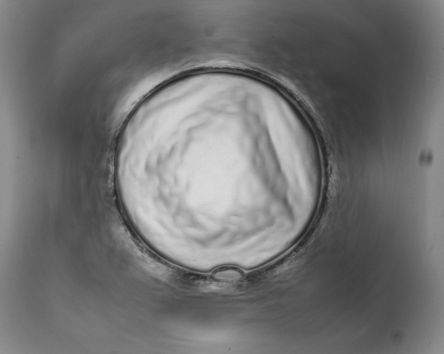 X0000112041367200908241552