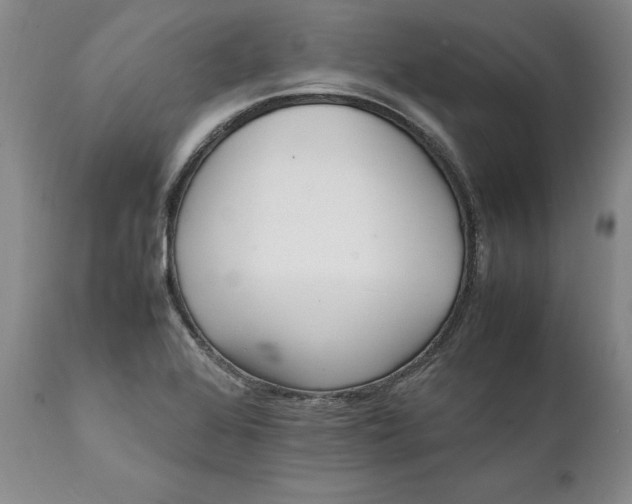X0000112041368200908241552
