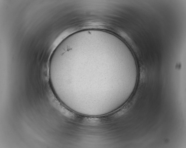 X0000112041370200908241552