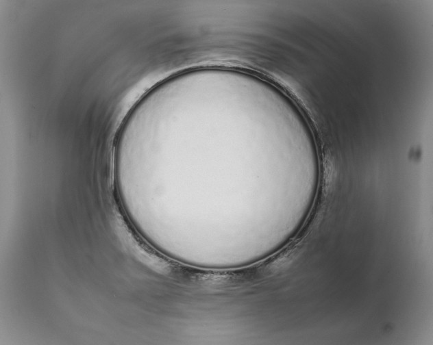 X0000112041371200908241552