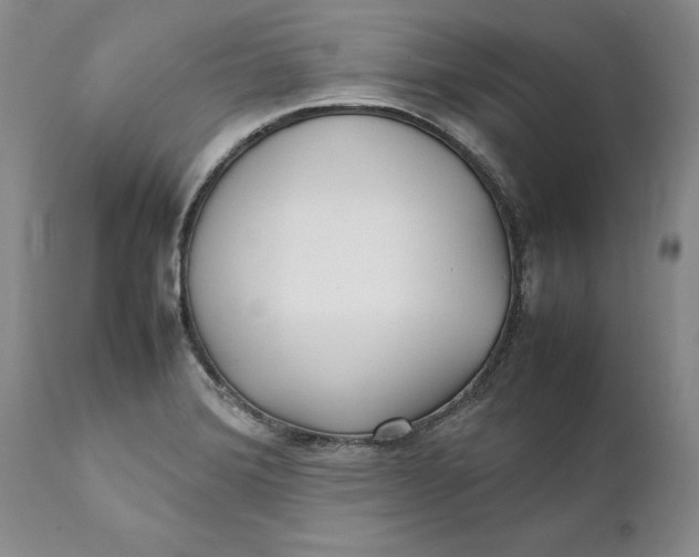 X0000112041372200908241552
