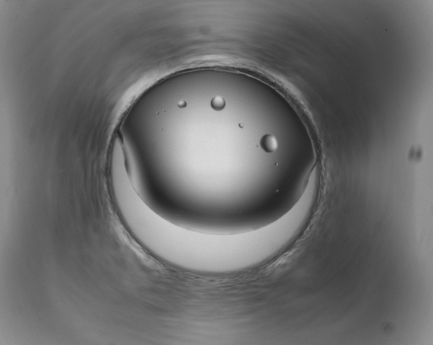 X0000112041373200908241552