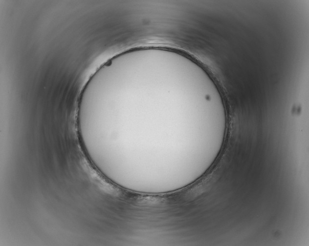 X0000112041374200908241552