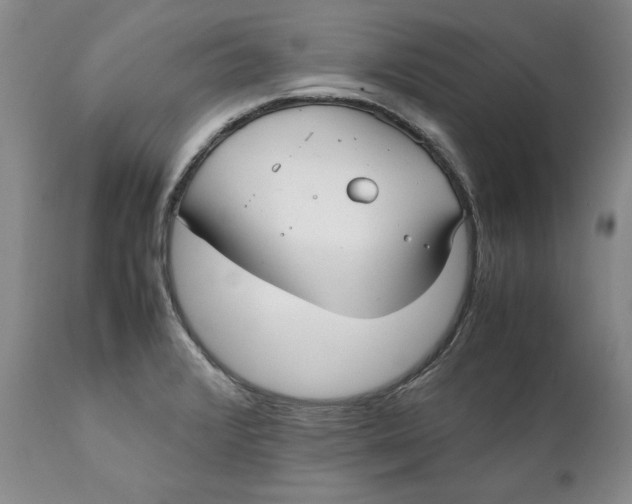 X0000112041376200908241552