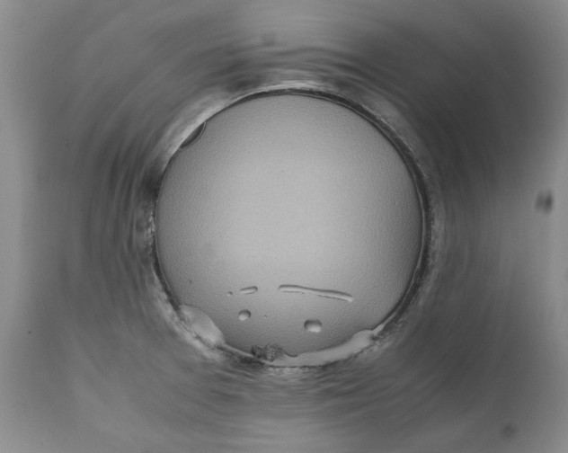 X0000112041377200908241552