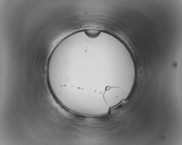 X0000112041379200908241552