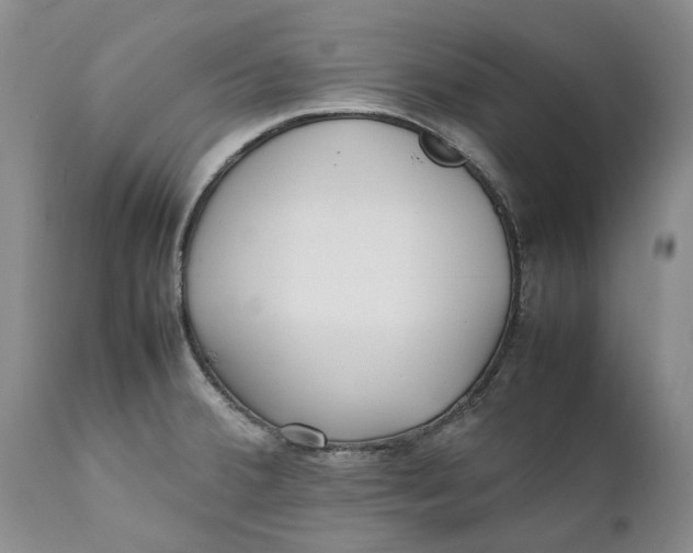 X0000112041380200908241552