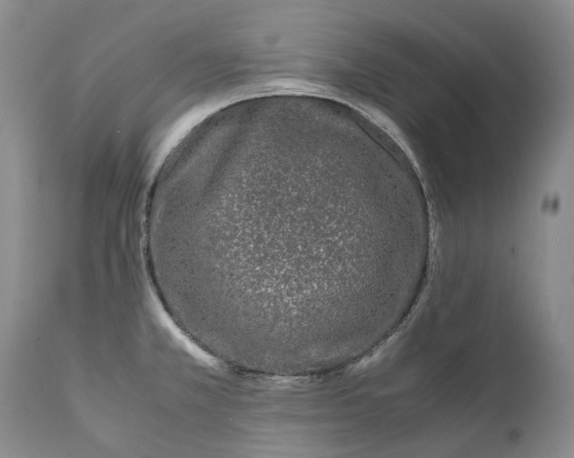 X0000112041381200908241552