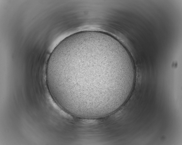X0000112041382200908241552
