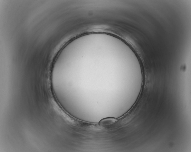 X0000112041384200908241552