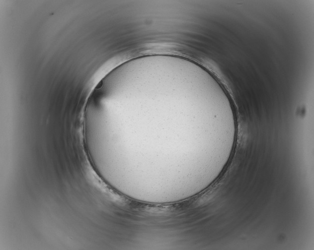 X0000112041386200908241552