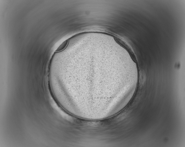 X0000112041387200908241552