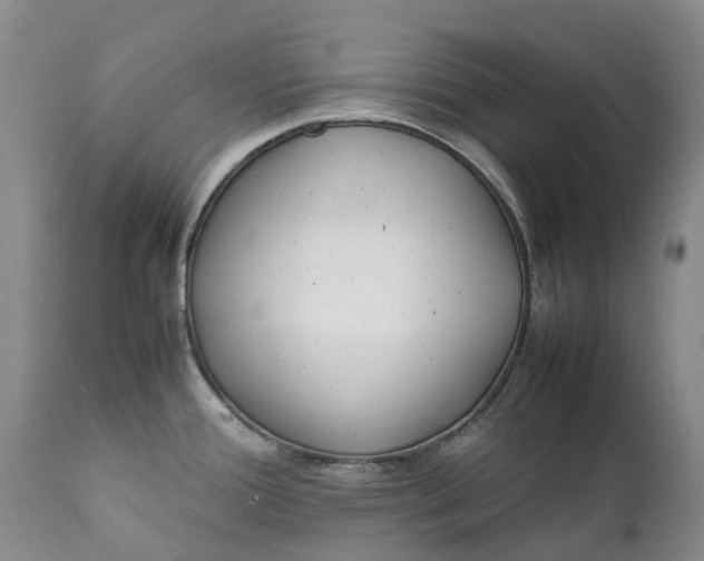 X0000112041388200908241552