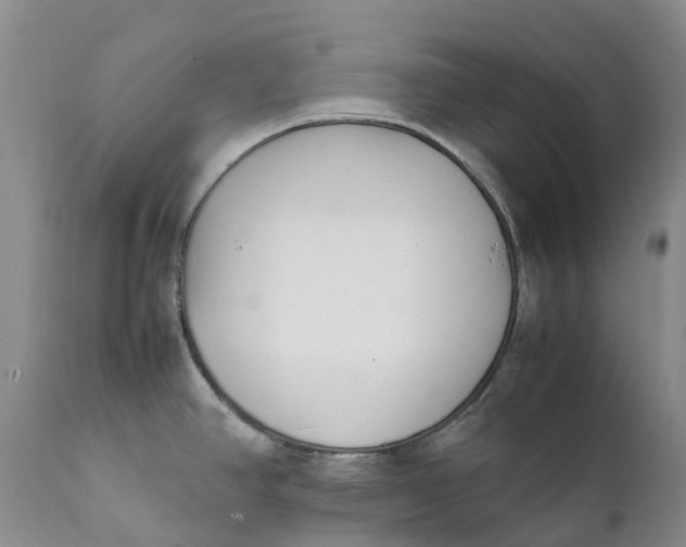 X0000112041390200908241552
