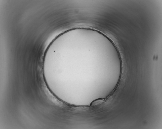 X0000112041392200908241552