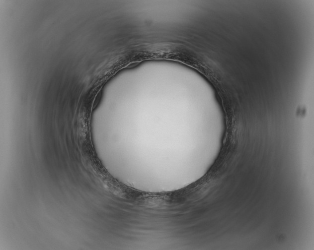 X0000112041394200908241551