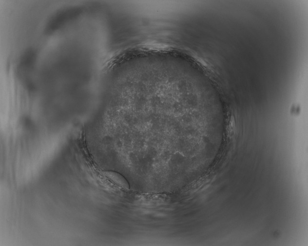 X0000112041397200908241551