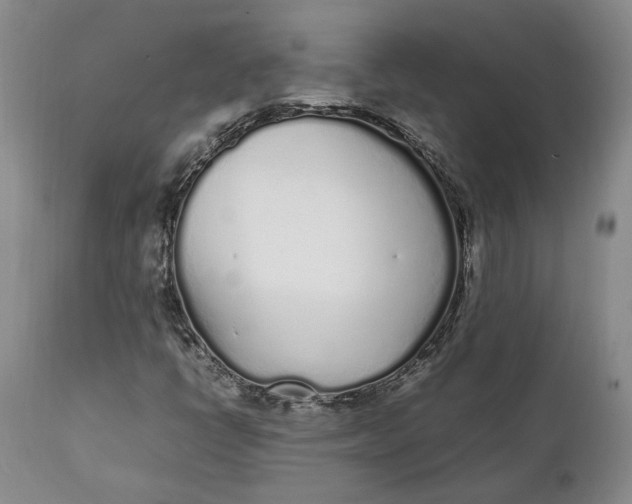 X0000112041398200908241551