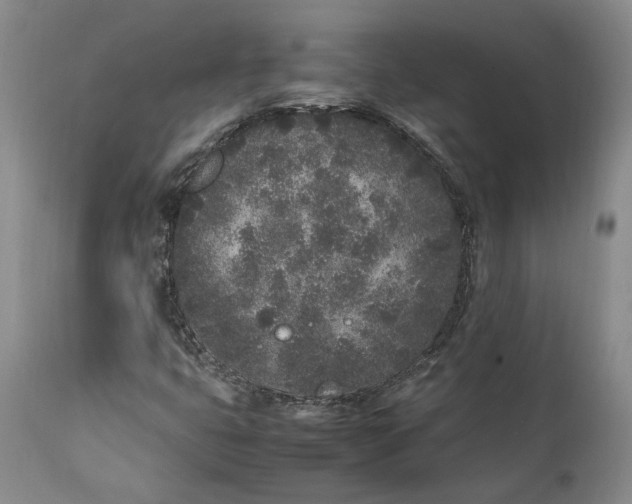 X0000112041399200908241551