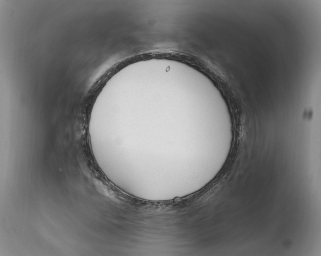X0000112041400200908241551