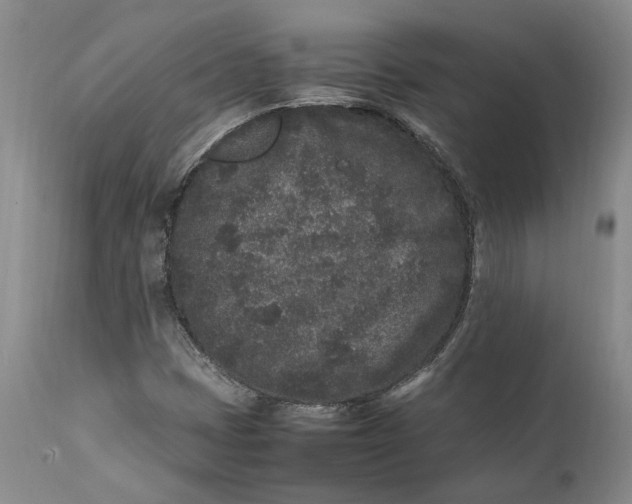 X0000112041401200908241551