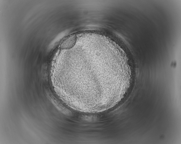 X0000112041403200908241551