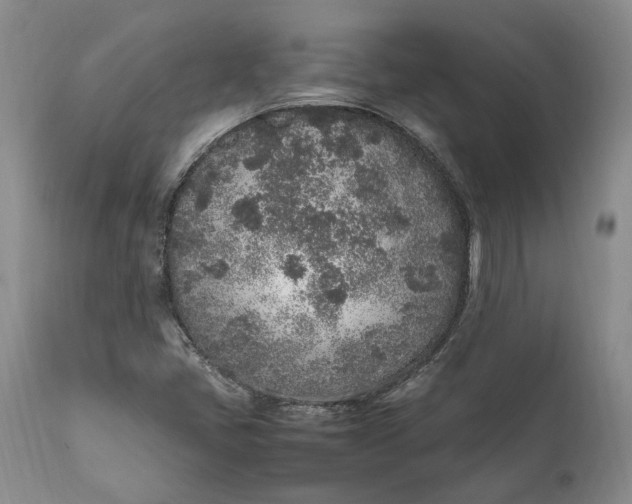 X0000112041405200908241551