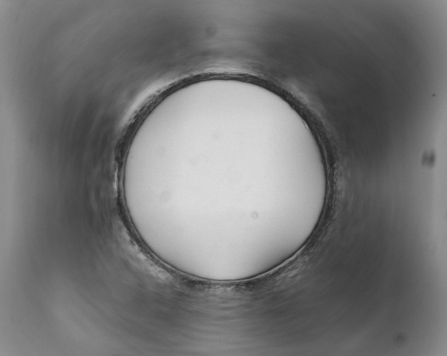X0000112041408200908241551
