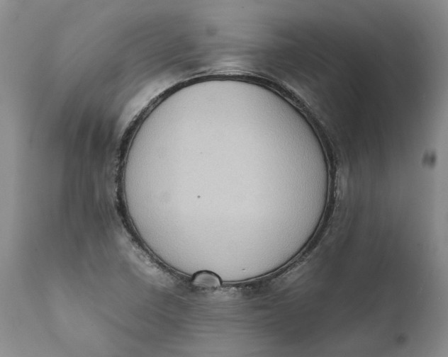 X0000112041410200908241552