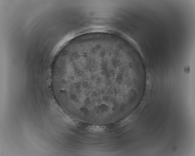 X0000112041411200908241552
