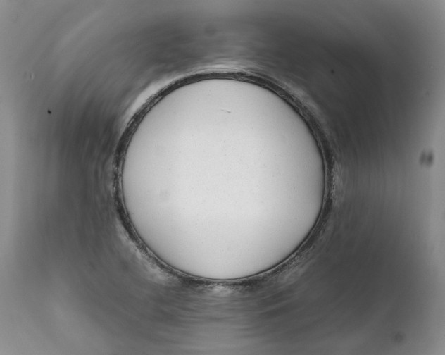X0000112041412200908241552
