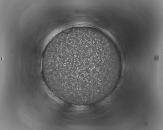 X0000112041413200908241552