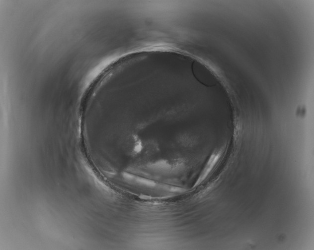 X0000112041414200908241552