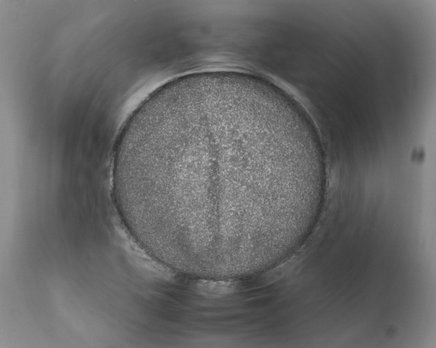 X0000112041415200908241552