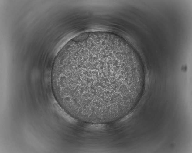 X0000112041417200908241552
