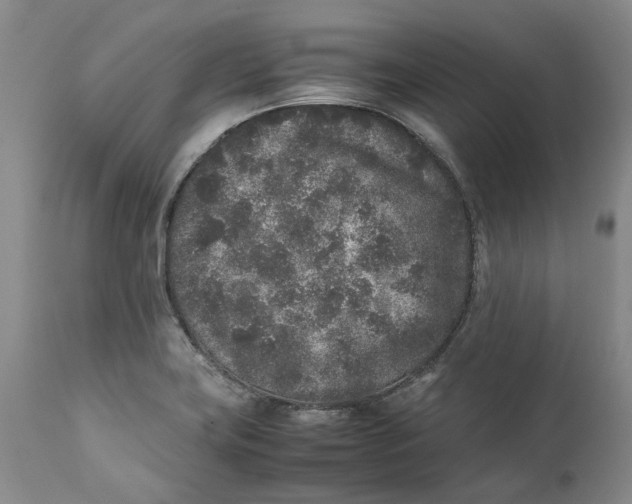 X0000112041419200908241552