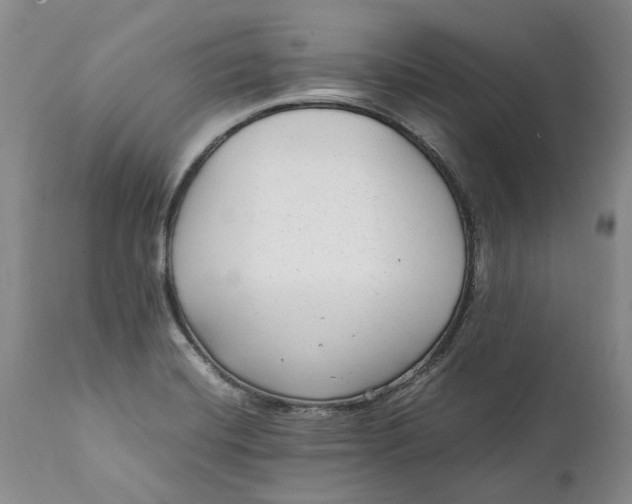 X0000112041420200908241552