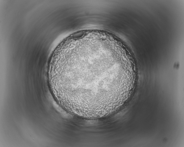 X0000112041421200908241552