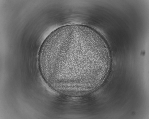 X0000112041423200908241552
