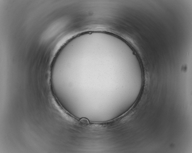 X0000112041424200908241552