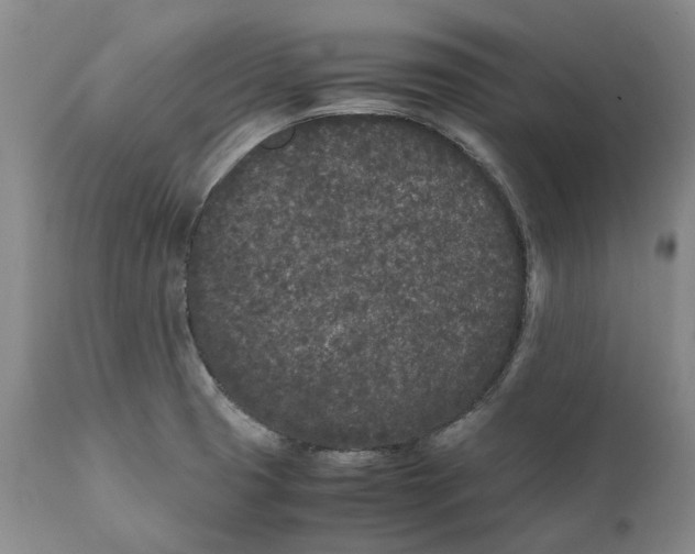 X0000112041425200908241552