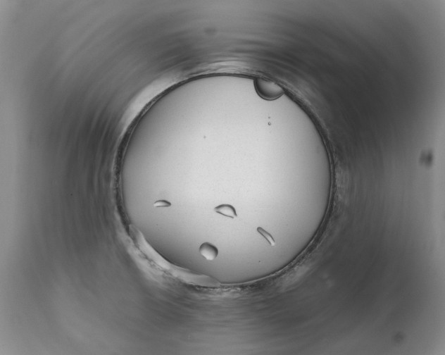 X0000112041426200908241552