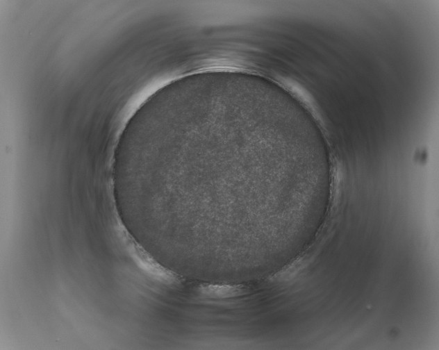 X0000112041427200908241552