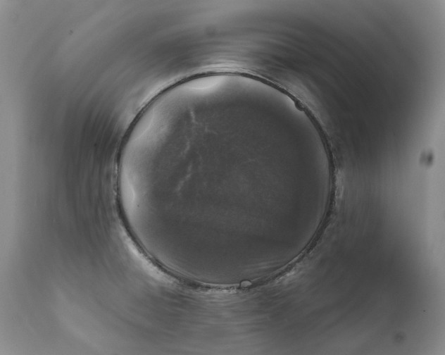 X0000112041428200908241552