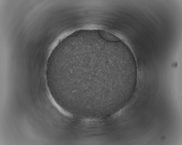 X0000112041429200908241552