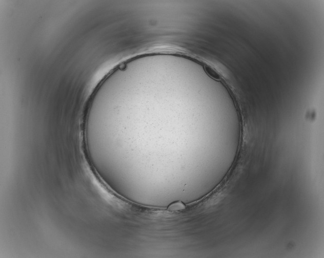 X0000112041430200908241552