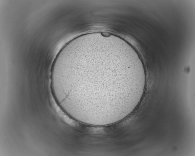 X0000112041431200908241552