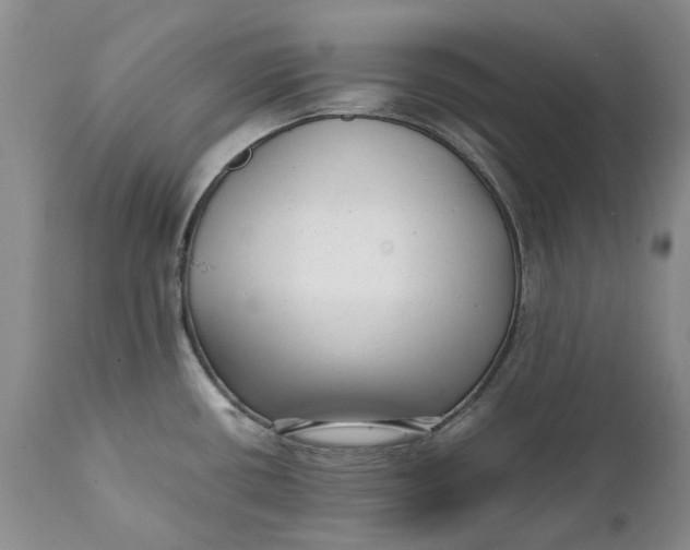 X0000112041434200908241552