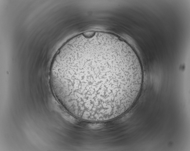 X0000112041435200908241552