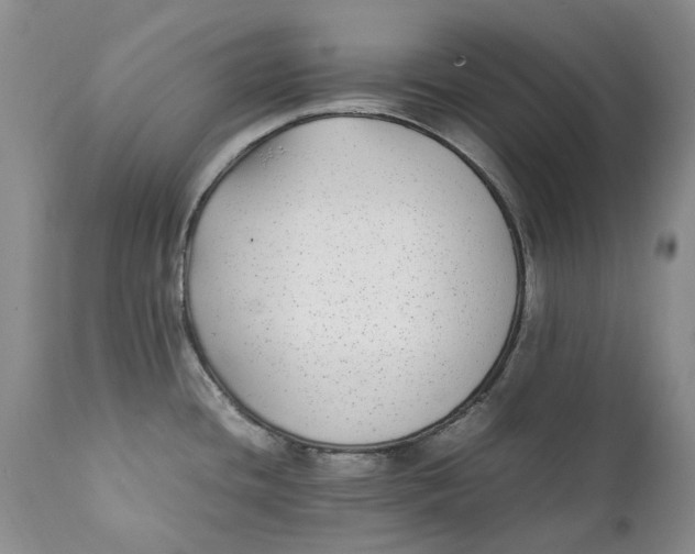 X0000112041436200908241552